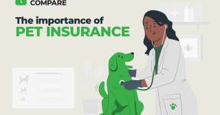 The Importance of Pet Insurance