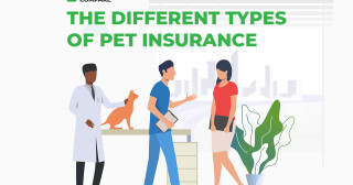 The Different Types of Pet Insurance