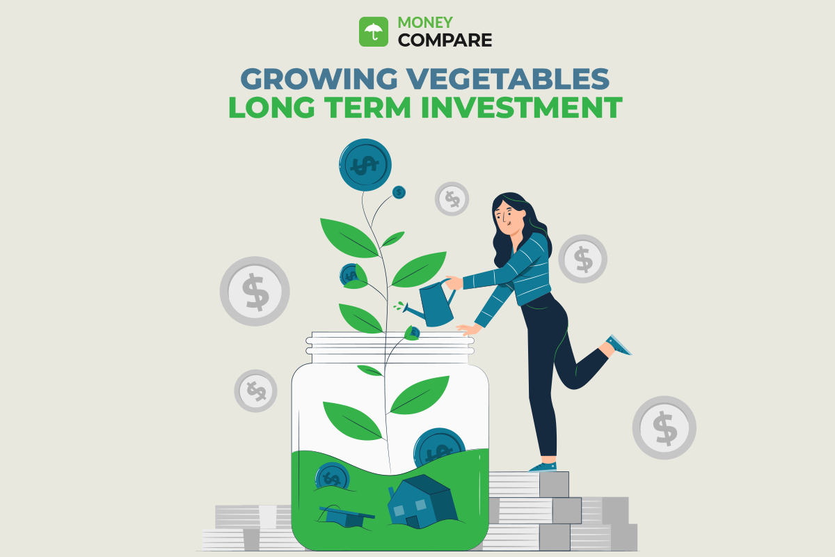 Growing Vegetables: A Long Term Investment with Money Compare