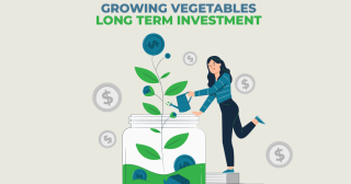 Growing Vegetables: A Long Term Investment