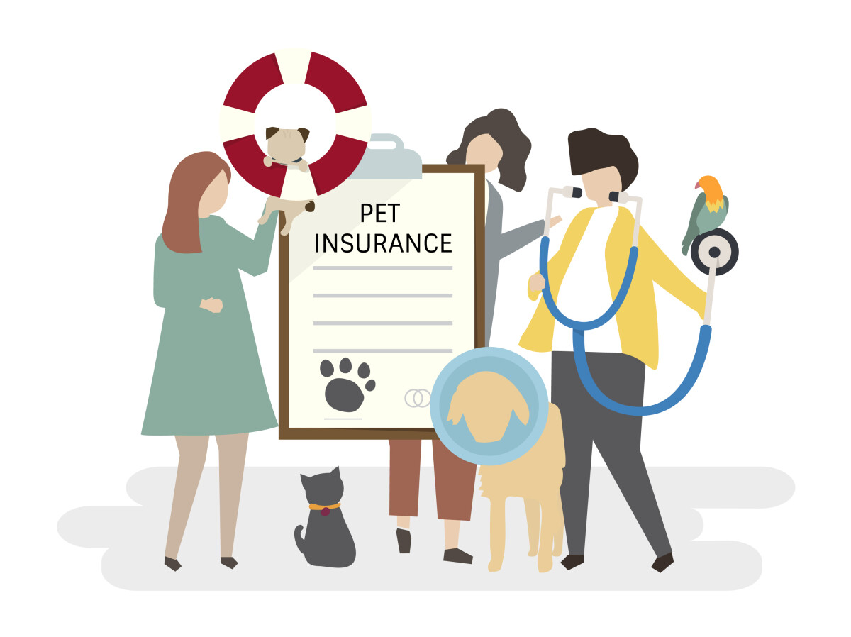 3 Reasons to get Pet Insurance with Money Compare