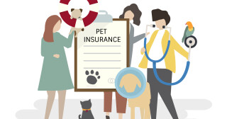 Pet Day: 3 Reasons to get Pet Insurance